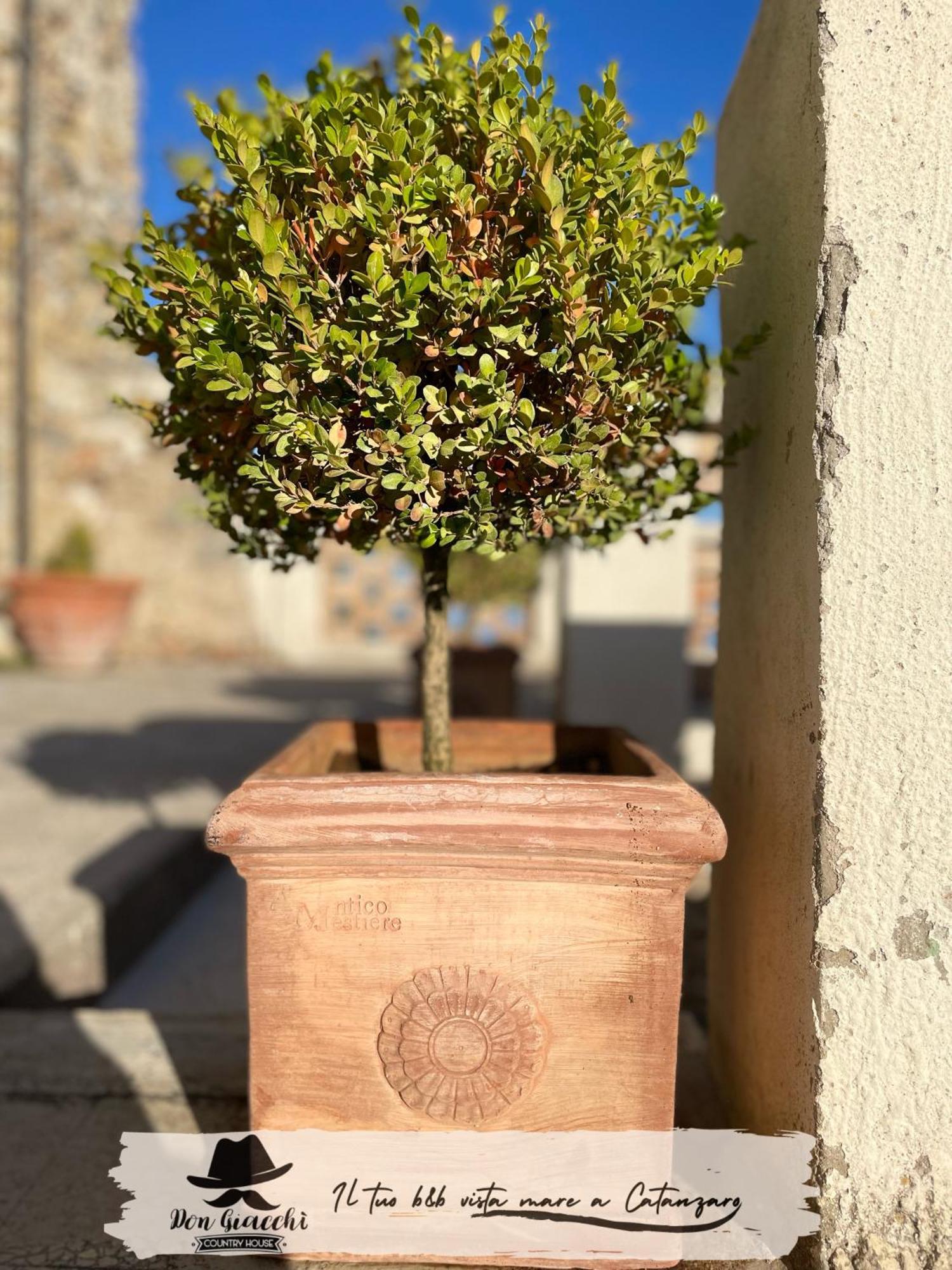Don Giacchi Country House Catanzaro Exteriér fotografie