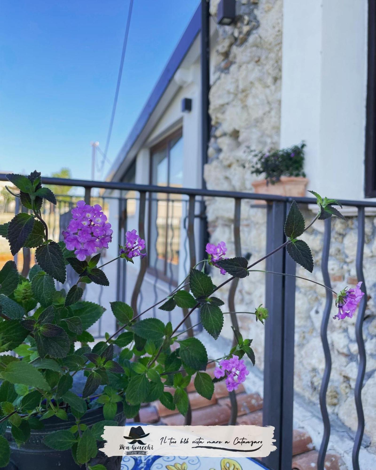 Don Giacchi Country House Catanzaro Exteriér fotografie